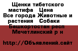 Щенки тибетского мастифа › Цена ­ 80 - Все города Животные и растения » Собаки   . Башкортостан респ.,Мечетлинский р-н